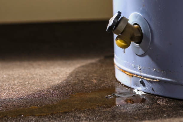 Best Water damage repair service  in Northlake, TX