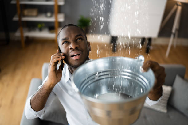 Best Ceiling water damage repair  in Northlake, TX