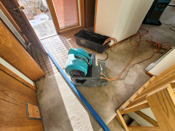 Best Residential water damage restoration  in Northlake, TX