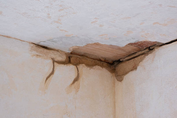 Reliable TX Water damage restoration Solutions