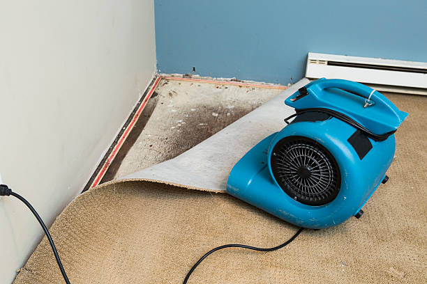 Best 24-hour water damage restoration  in Northlake, TX